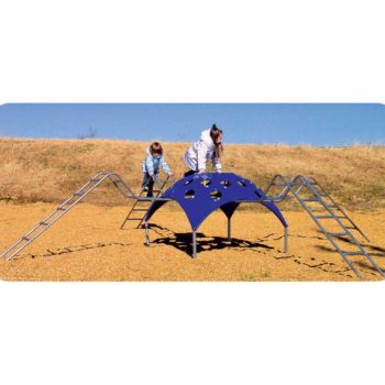 Charlotte the Spider