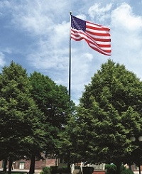 Sentry Flag Pole in trees